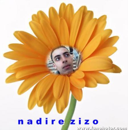 nadire zizo