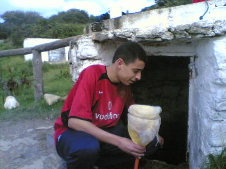 nadire